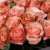 Букет из 25 пионовидных роз Кахала