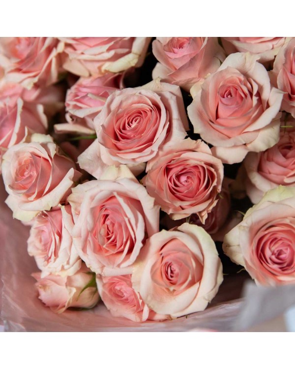 Букет из 15 кустовых роз
