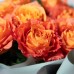 Букет из 9 пионовидных роз Фри Спирит