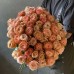 Микс из персиковых Роз Премиум 65шт